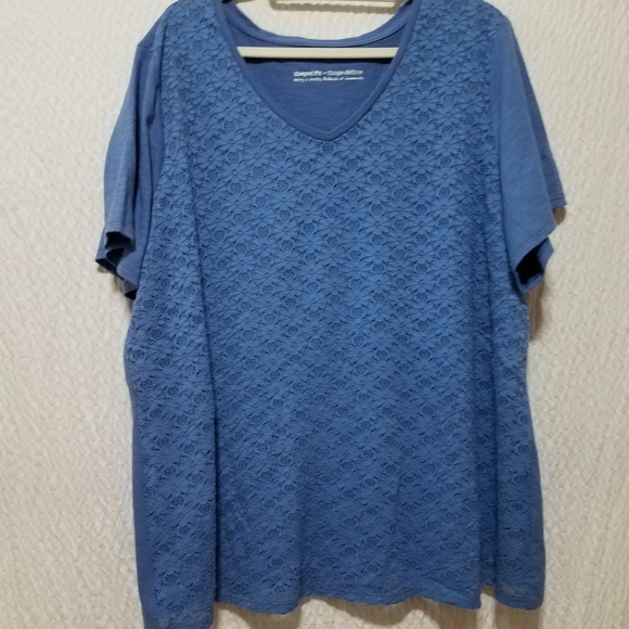 Chic Blue Floral Lace Overlay 2X Short Sleeve Top - Picture 5 of 8